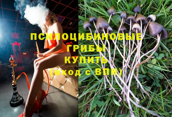 соль курить ск Белокуриха