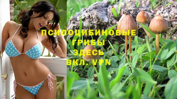 соль курить ск Белокуриха