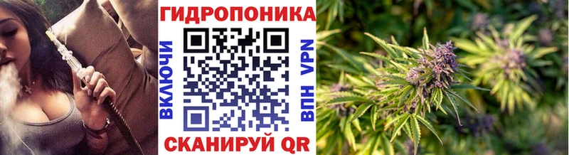Шишки марихуана гибрид  Салаир 